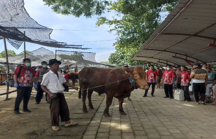 TURUN: Aktivitras Pasar Dimoro di Kota Blitar kini turun akibat marak PMK sekarang ini.