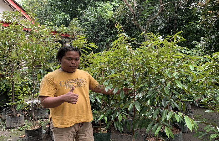 PELOPOR: Muhammad Lutfi Alman Faluki, pemilik bibit durian premium di Desa Bangsri, Kecamatan Nglegok, Kabupaten Blitar.
