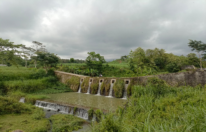 SEJUK: Suasana sejuk di kawasan Bendungan Ngusri, Desa Gadungan, Kecamatan Gandusari, pada Minggu (26/1).
