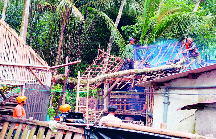RINGSEK: Atap dapur dan kandang kambing milik Mundofir di Desa Sukosewu, Kecamatan Gandusari, Kabupaten Blitar, terdampak pohon tumbang akibat tiupan angin kencang, Kamis (30/1).