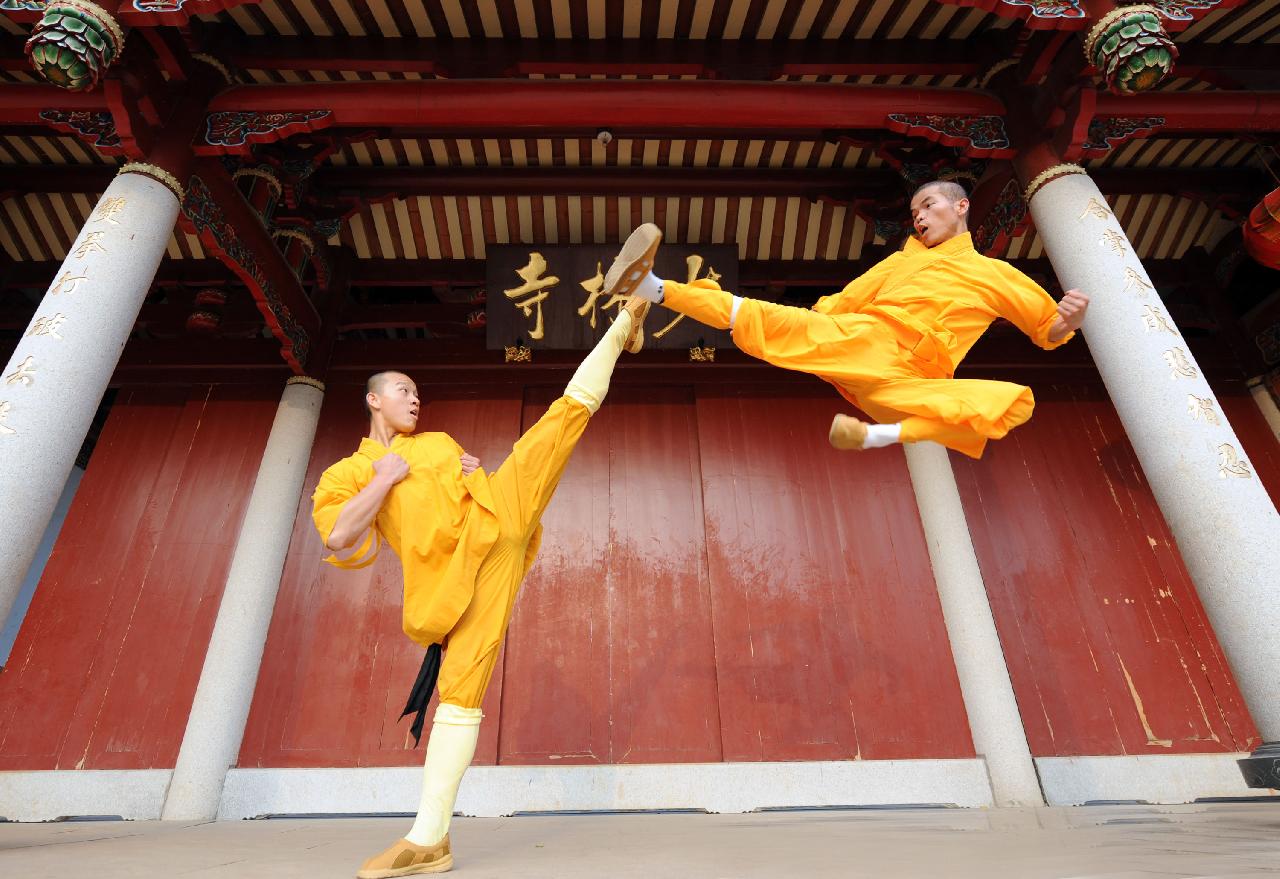 Ilustrasi kungfu