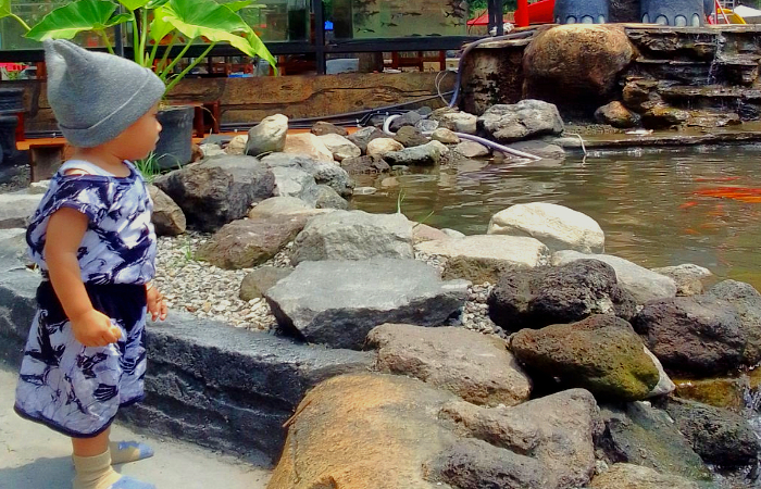 Pengunjung melihat ikan di Waterpark Kali Gajah