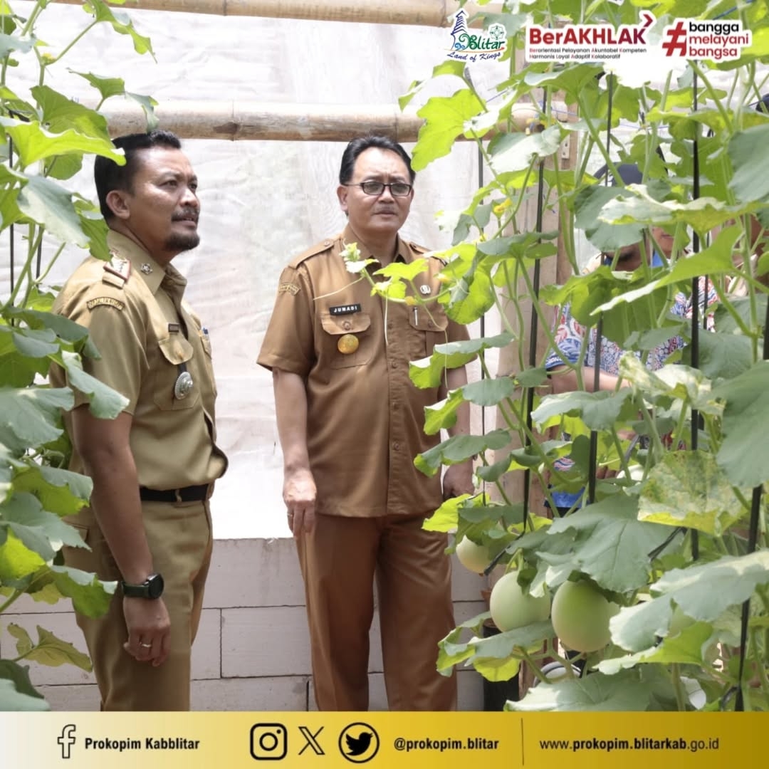 DISIPLIN: Agus saat berada di salah satu greenhouse yang digunakan sebagai sarana menanam melon di Kecamatan Wates.