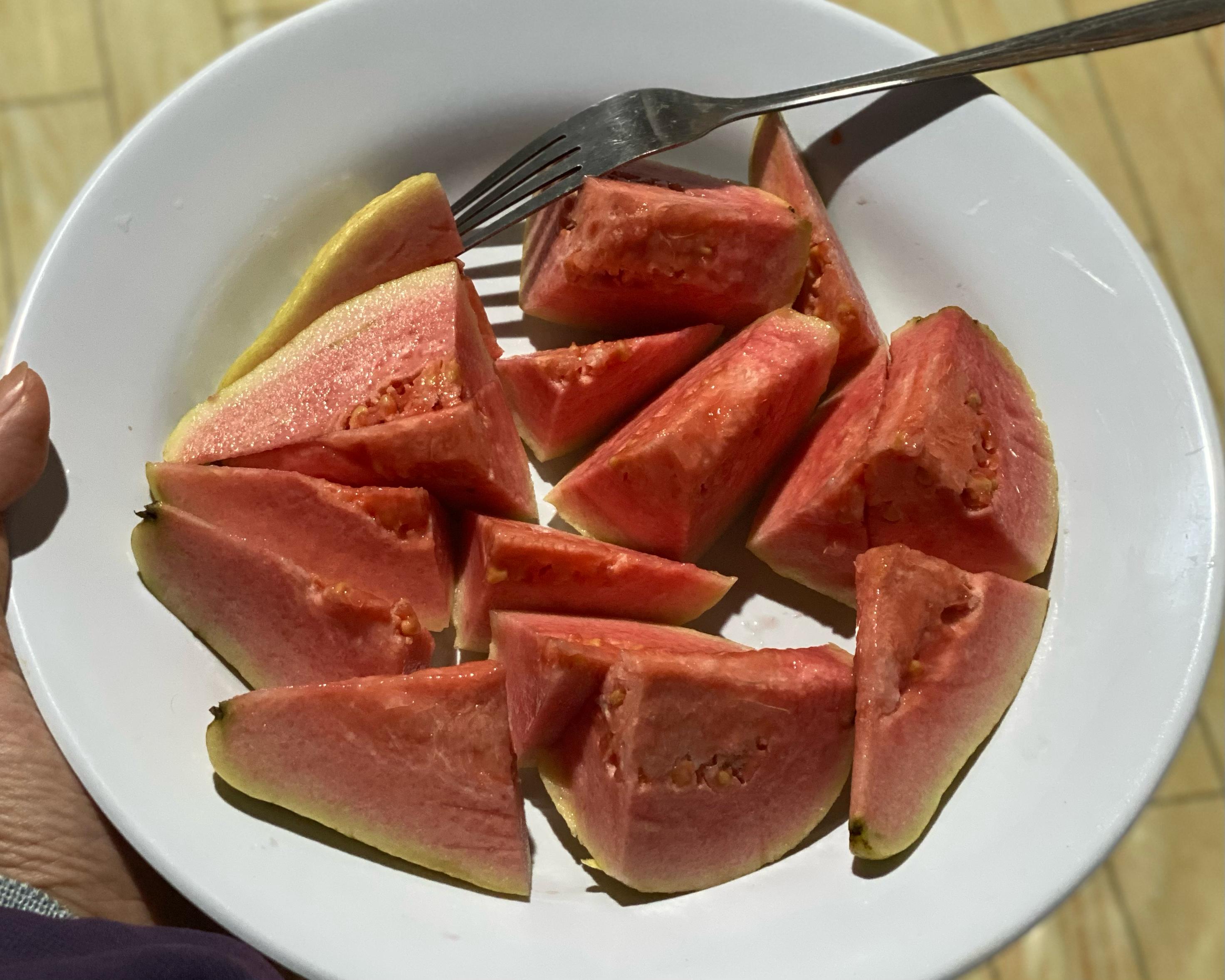 BERNUTRISI: Buah Jambu bisa untuk untuk menjaga kesehatan saat puasa.