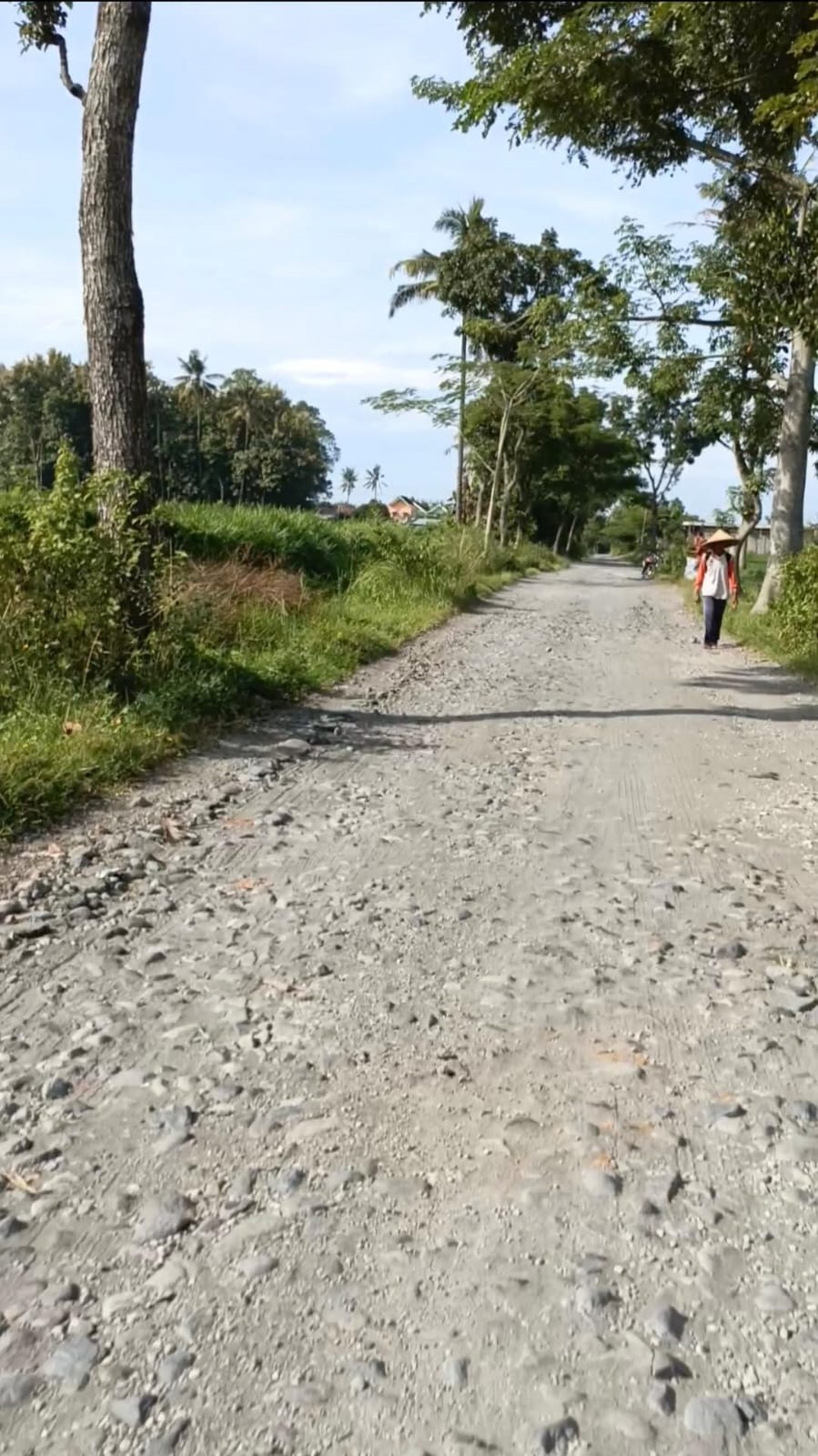 BUTUH PERHATIAN: Kondisi salah satu akses jalan di Desa Butun, Kecamatan Gandusari, yang rusak parah.