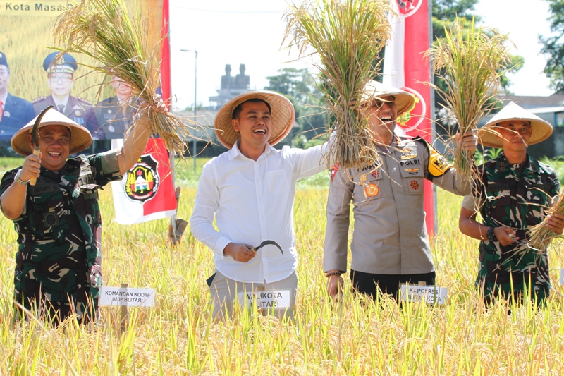 POTENSI PANGAN: Wali Kota Blitar Syauqul Muhibbin (tiga dari kiri) beserta jajaran forkopimda memanen padi dalam kegiatan panen raya serentak yang diinisiasi oleh Kementan RI, Senin (7/4/2025).