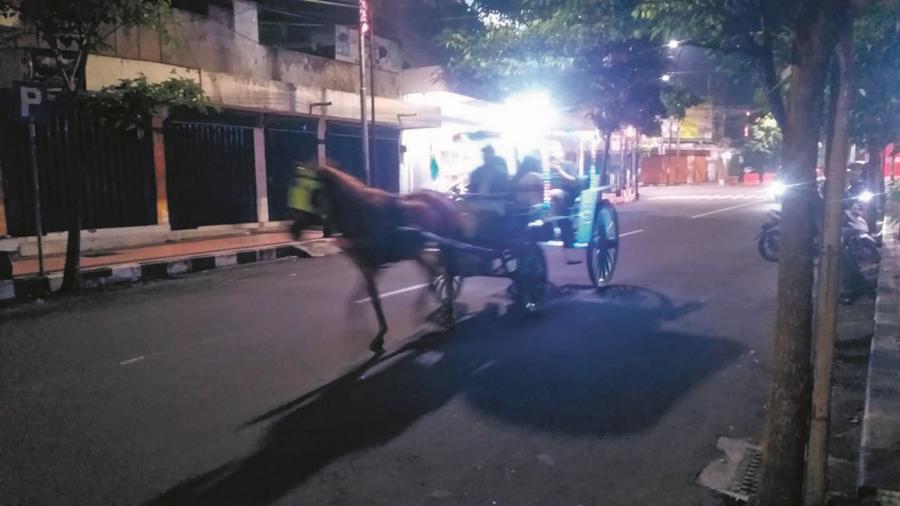 PESONA MALAM: Dokar wisata menjadi salah satu wahana yang bisa dinikmati ketika berkunjung di pusat Kota Blitar pada malam hari.