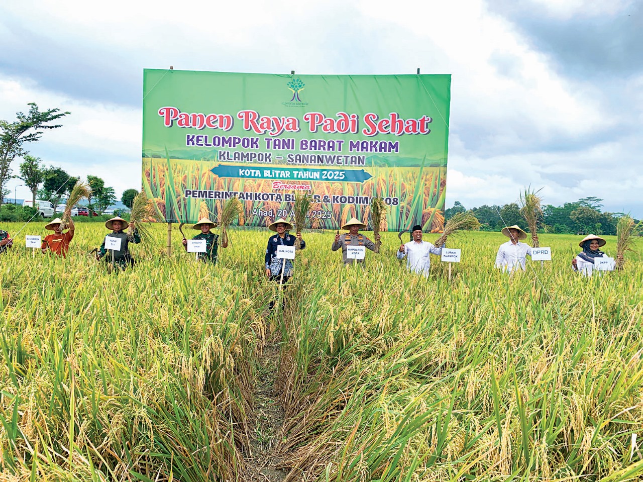 SEJAHTERA: Jajaran Forkopimda dari unsur pemkot, Polri, TNI dan tokoh masyarakat memanen padi sehat secara simbolis di Kelurahan Klampok, Kecamatan Sananwetan, Kota Blitar, Minggu (20/4/2025).