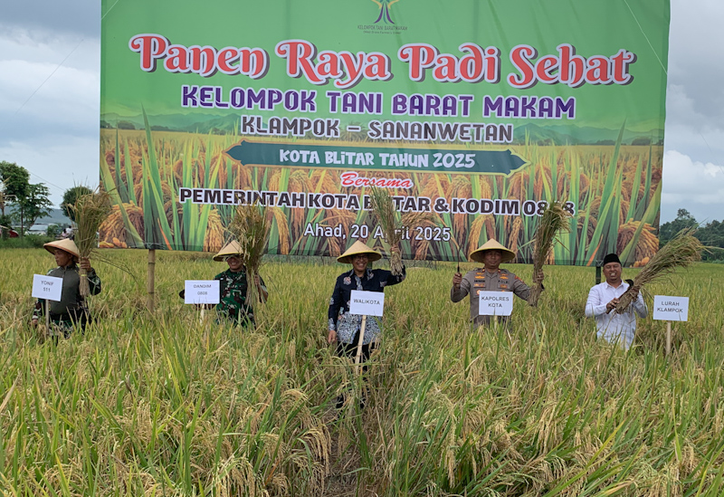 TERBOSAN: Jajaran forkopimda Kota Blitar panen raya padi sehat di Kelurahan Klampok, Kecamatan Sananwetan, Kota Blitar, Minggu (20/4/2025).