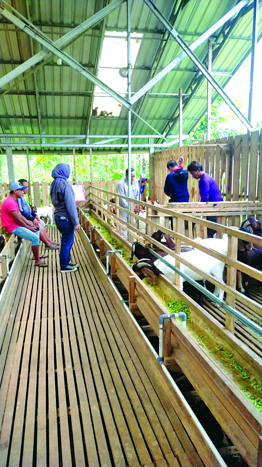 PESIFIK: Sejumlah pelaku usaha peternakan berdiskusi membahas dinamika usahanya.