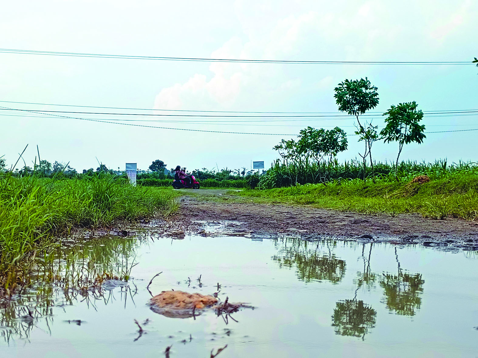 BELUM MENENTU: Suasana persawahan di Desa Sawentar, Kecamatan Kanigoro, usai diguyur hujan.