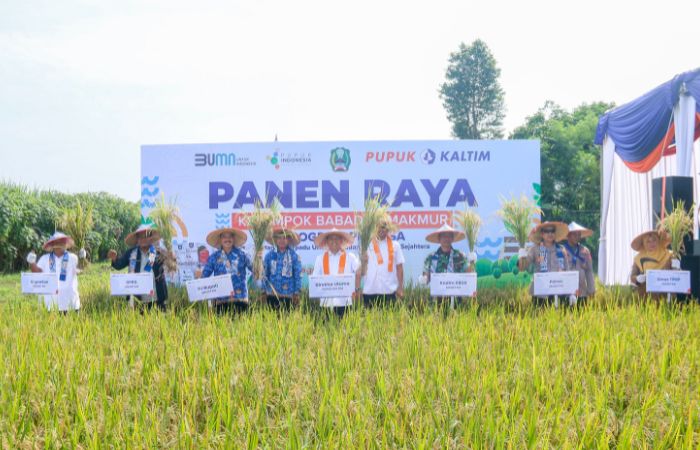 Panen Raya Padi Kelompok Babadan Makmur melalui program PKT BISA Pupuk Kaltim.