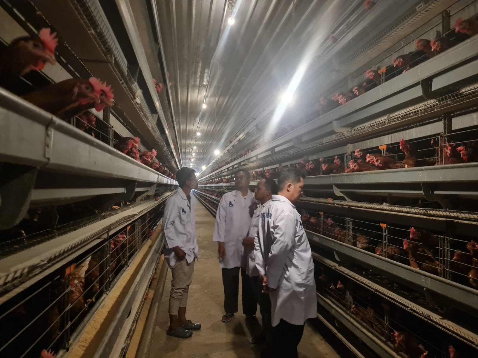 MODERN: Tim dari Kementerian Pertanian saat survei kondisi peternakan ayam petelur di Kabupaten Blitar beberapa waktu lalu.