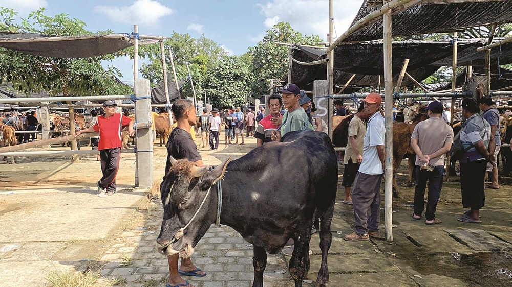 ANTISIPASI: Aktivitas perdagangan sapi di Pasar Hewan Dimoro Kota Blitar.