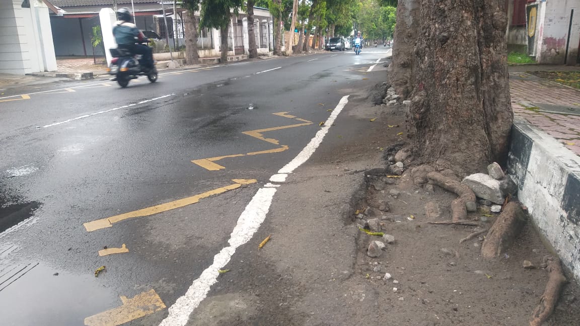 GANGGU PEMANDANGAN: Kondisi Jalan Dr Soetomo yang rusak karena akar pohon.