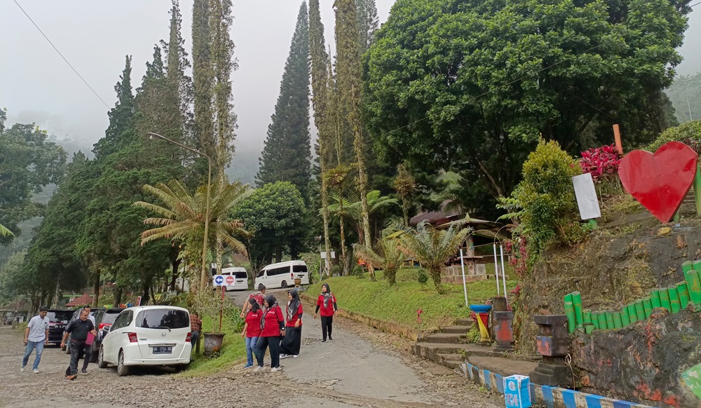 SEJUK: Kawasan perkebunan teh Sirah Kencong, Desa Ngadirenggo, Kecamatan Wlingi, jadi salah satu pintu pendakian Gunung Butak.