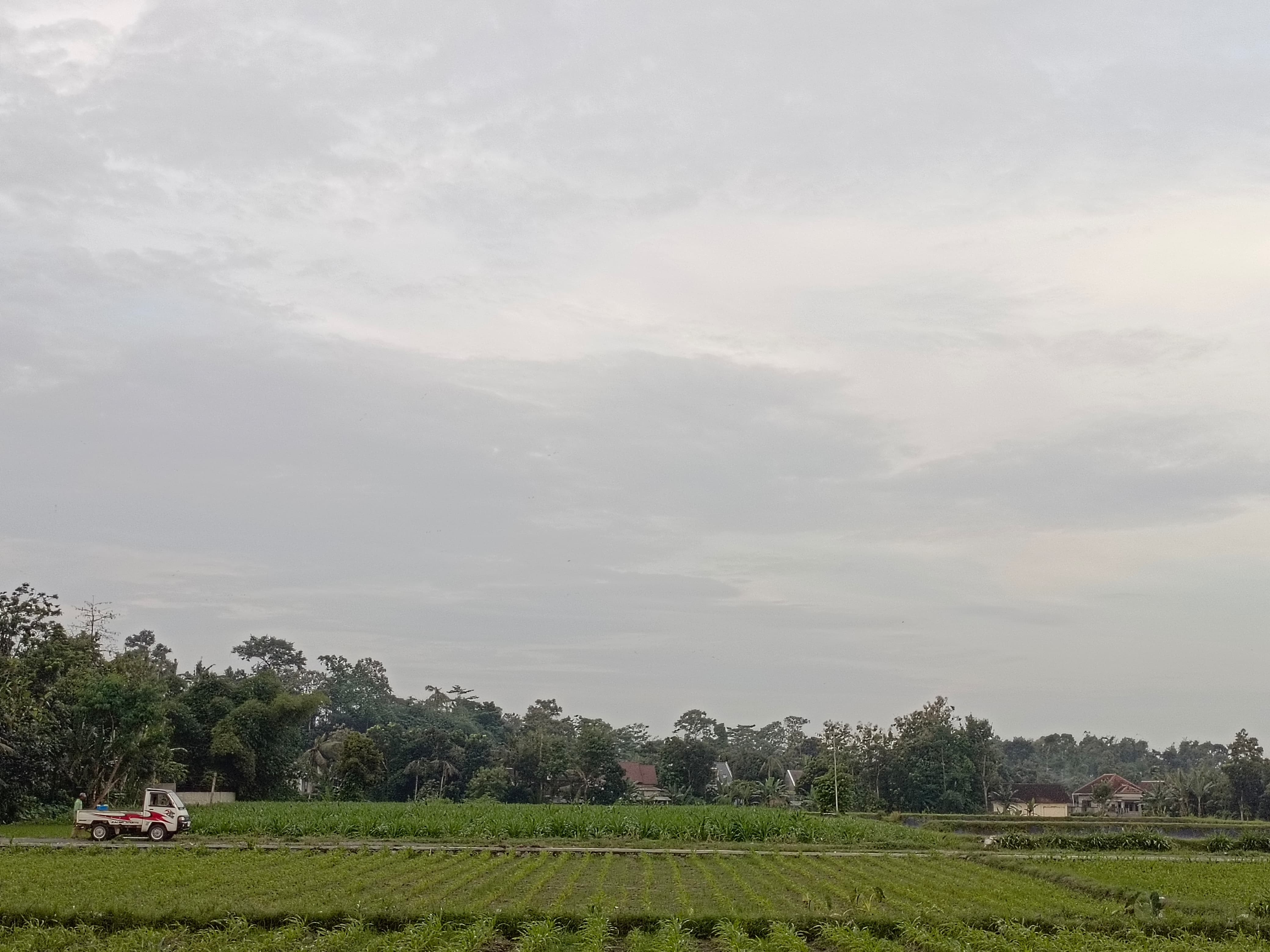 DINANTIKAN: Cuaca cerah berawan di kawasan persawahan di Desa Jiwut, Kecamatan Nglegok, pada Kamis (19/6/2025).
