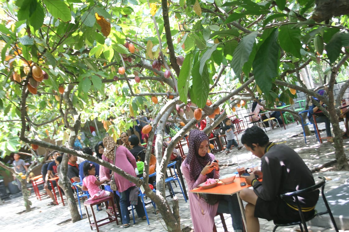 Kampung Coklat-Belajar ,Bermain, dan Menikmati Manisnya Coklat