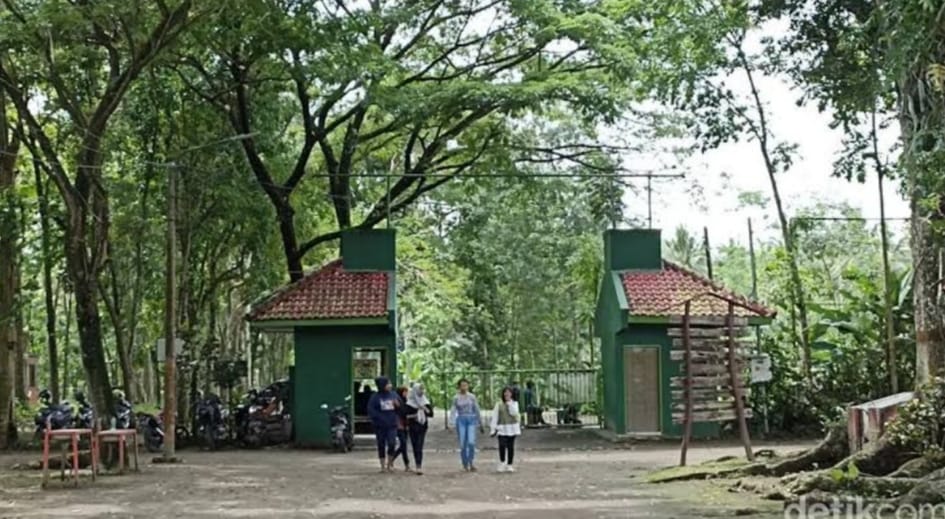 Taman Rusa Maliran &ndash; Bertemu Rusa di Alam Bebas