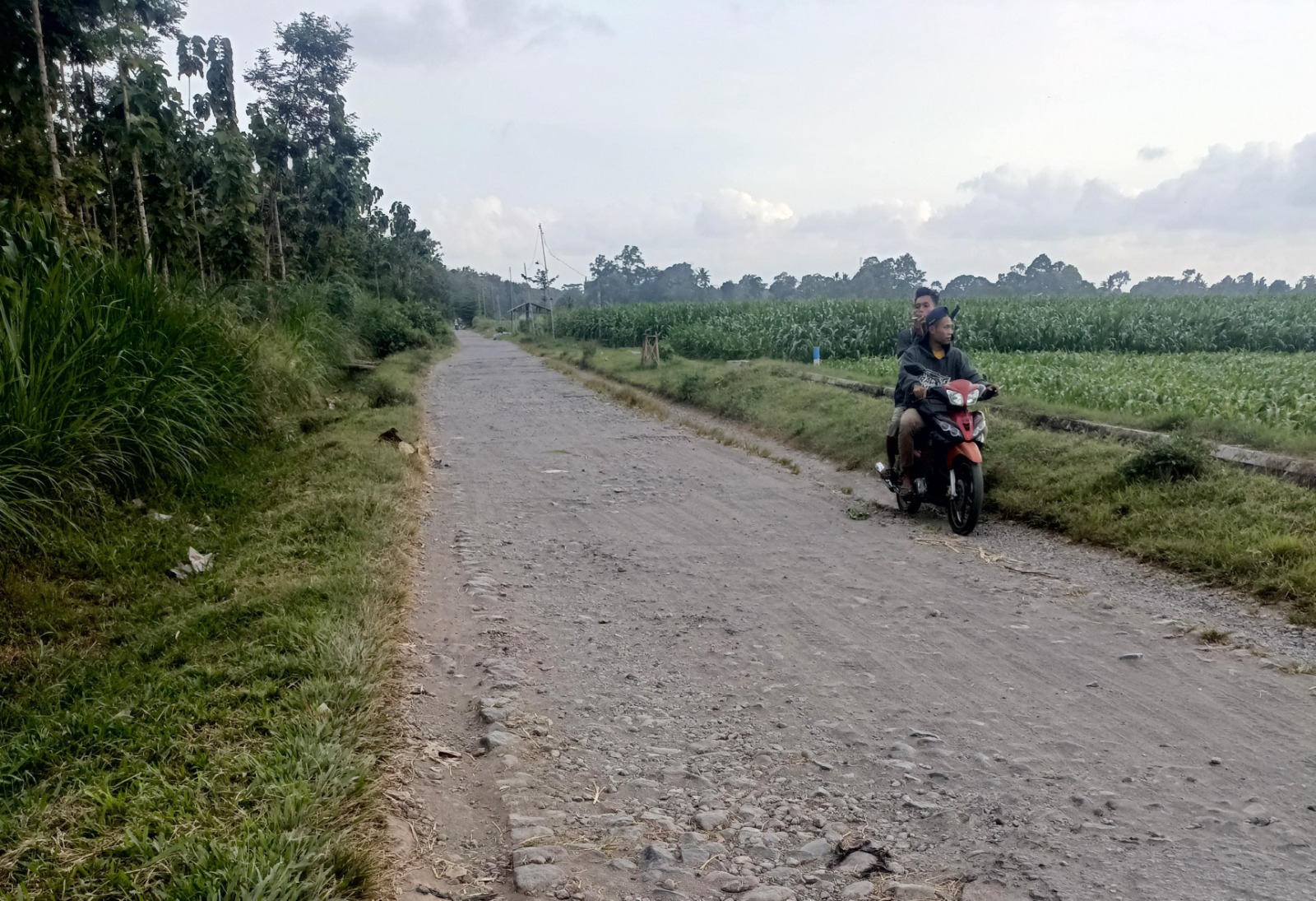 LEBIH CEPAT: Jalur alternatif yang menghubungkan Desa Sumberingin dengan Desa Karangbendo.