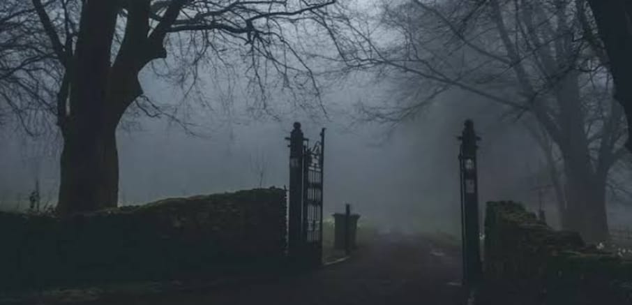 Terowongan Tebu: Pintu Gaib yang Membawa ke Dunia Misterius?