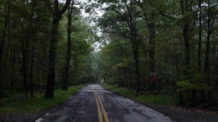 Jalur Mistis Blitar&ndash;Malang: Jalan Sunyi yang Tak Semua Bisa Kembali