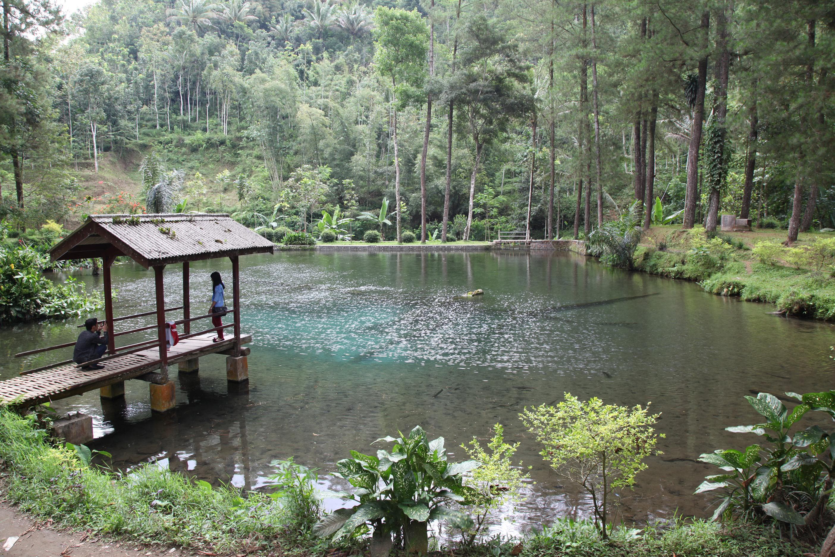 Telaga Rambut Monte, Perpaduan Romantisme Alam dan Aura Mistis di Blitar