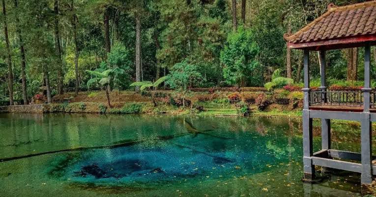 Dari Rambut Monte ke Gunung Lawu: Telaga Sarangan dan Legenda Mistis yang Hidup