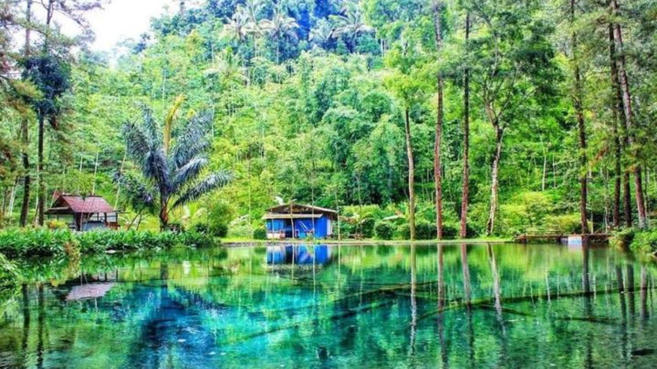 Ikan Dewa alias Sengkaring: Spesies Langka yang Dilindungi Mistis dan Ekologi di Rambut Monte
