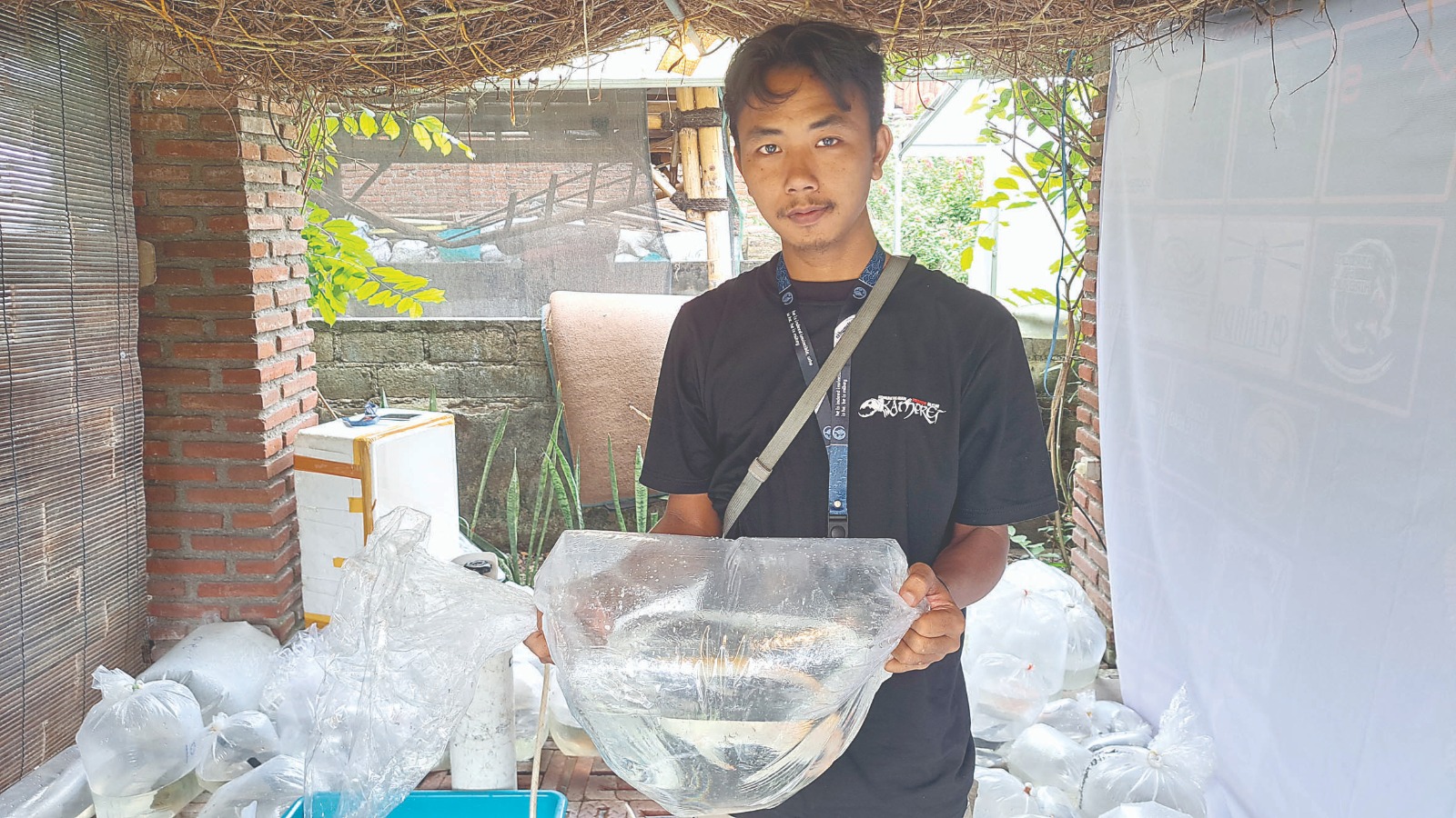 Alvin Rosidin menunjukkan salah satu jenis ikan predator yang dilelang dalam acara ulang tahun Kampret, Minggu (13/7).  Cerita Kampret, Wadah Penghobi Ikan Predator Blitar.
