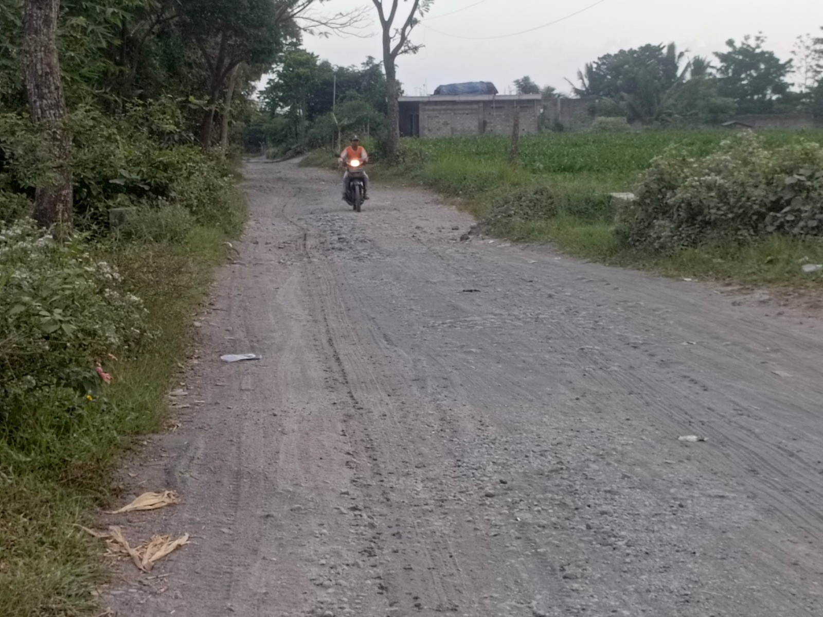 RUSAK PARAH: Jalur penghubung Gandusari-Wlingi di Desa Butun, Kecamatan Gandusari, yang rusak parah.