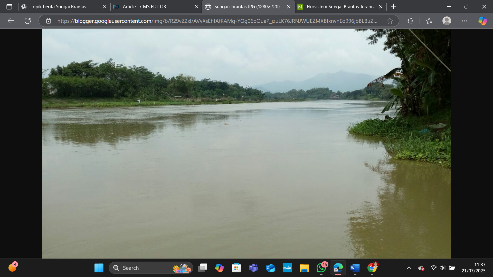 Sungai Brantas (Dikutip dari mas-aderifai.blogspot.com)