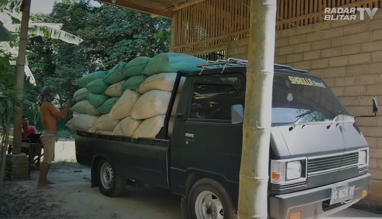 50 Kandang Langganan, 7 Ton Katul Sehari: Bisnis Anak Desa Blitar Ini Tak Main-Main