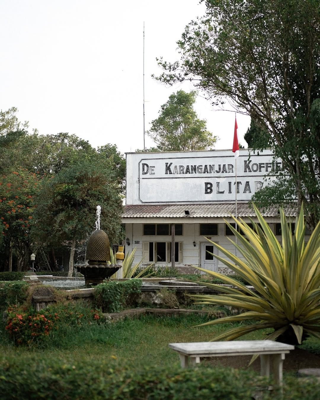 Wisata Kebun Kopi De Karanganjar Koffeplantage, Blitar (Instagram @de_karanganjar)