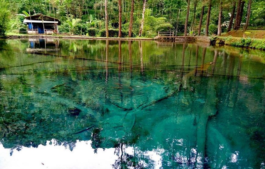 Wisata Rambut Monte (Dikutip dari travel.okezone.com)