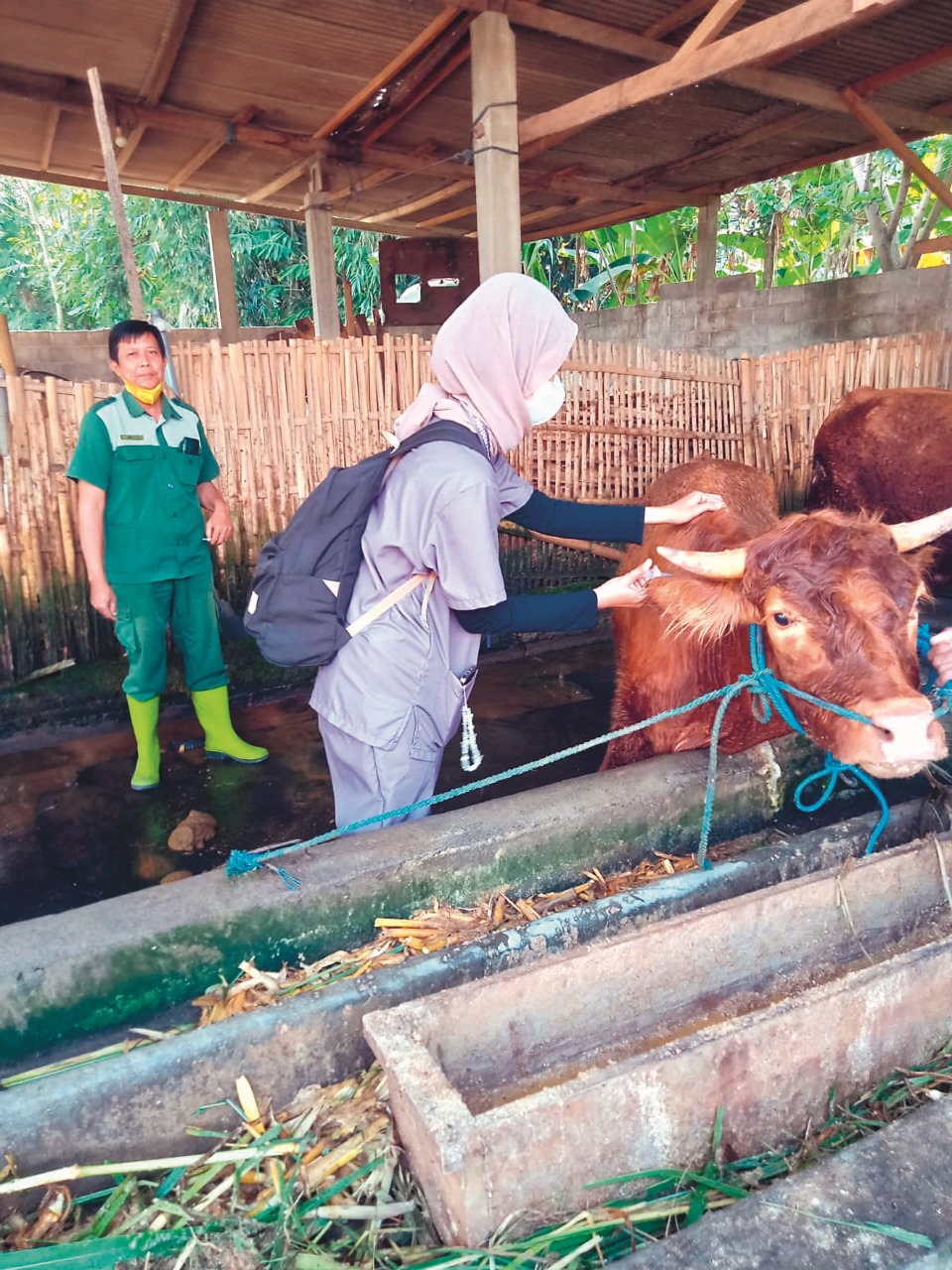 ⁠Vaksinasi Jangan Tunggu Wabah PMK Merebak, Ini Langkah Disnakkan