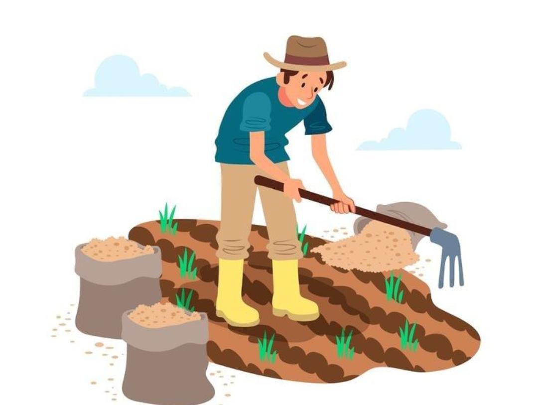 Cuaca yang tak menentu membuat sebagian petani waswas. Mereka tengah menanti cuaca benar-benar cerah untuk mendukung proses panen padi yang ditanam beberapa waktu terakhir.