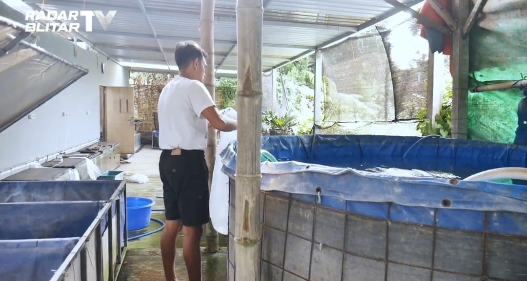 Dari Sawah ke Kolam Koi: Petani Blitar Bongkar Dampak Supply Berlebih yang Bikin Harga Hancur