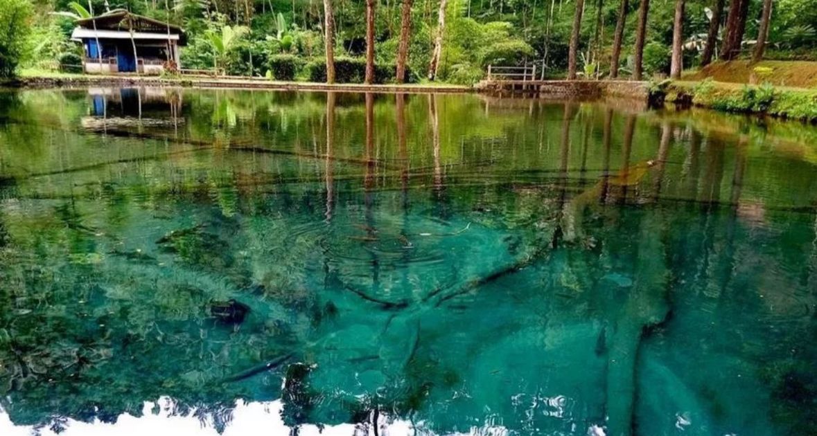 Petilasan Pra-Majapahit di Blitar: Rambut Monte dan Kisah Mbah Ronggo Sang Pembabat Pertama