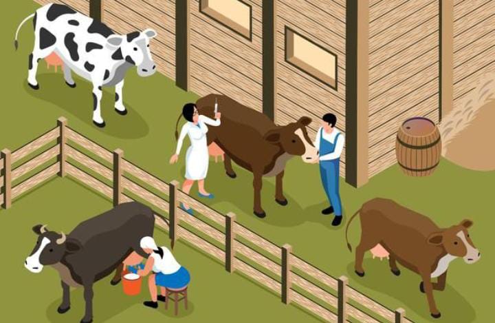 PMK Terus Menyebar di Kabupaten Blitar, Puluhan Ekor Sapi di Empat Kecamatan Terserang