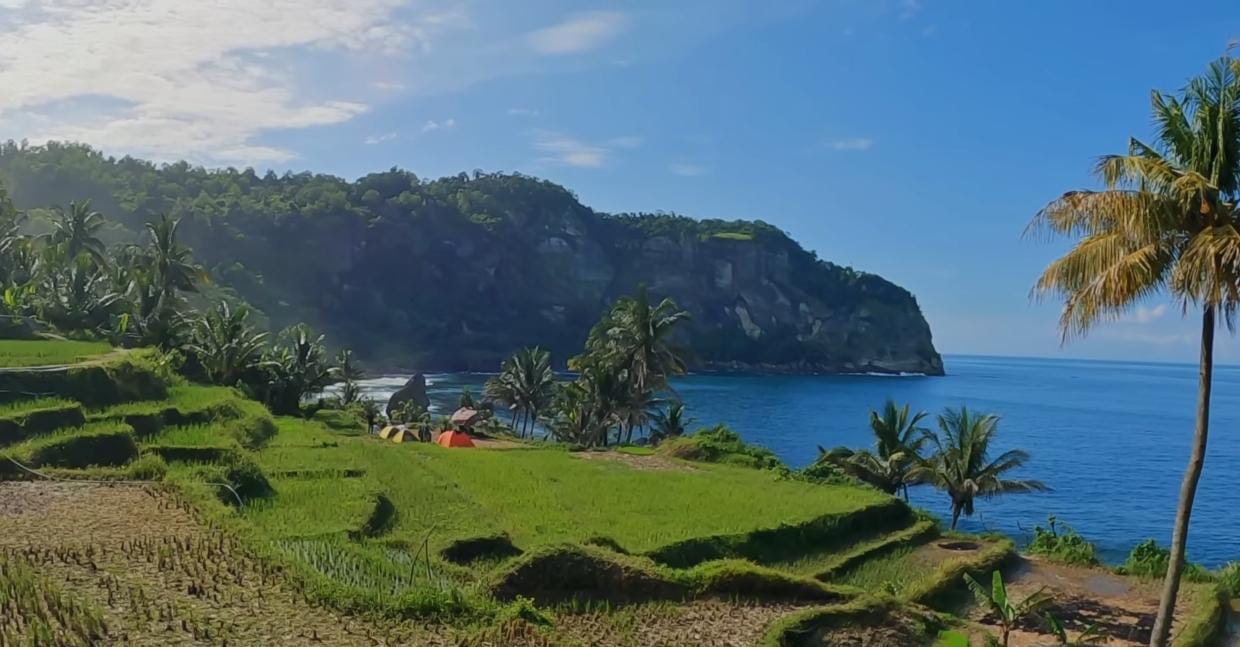 Landscape Viral, Hidden Gem Pacitan: Sawah Hijau, Gunung Lanang, dan Laut Biru Jadi Satu