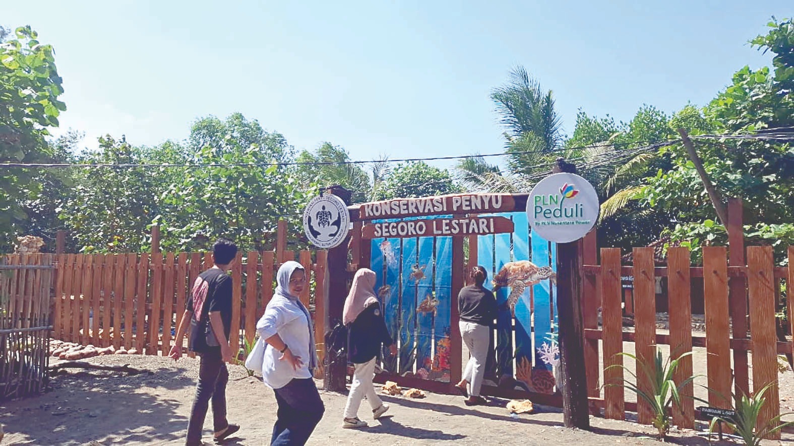 Melihat Pelestarian Penyu Pertama di Jawa Timur yang ada di Blitar, Di Sini Lokasinya