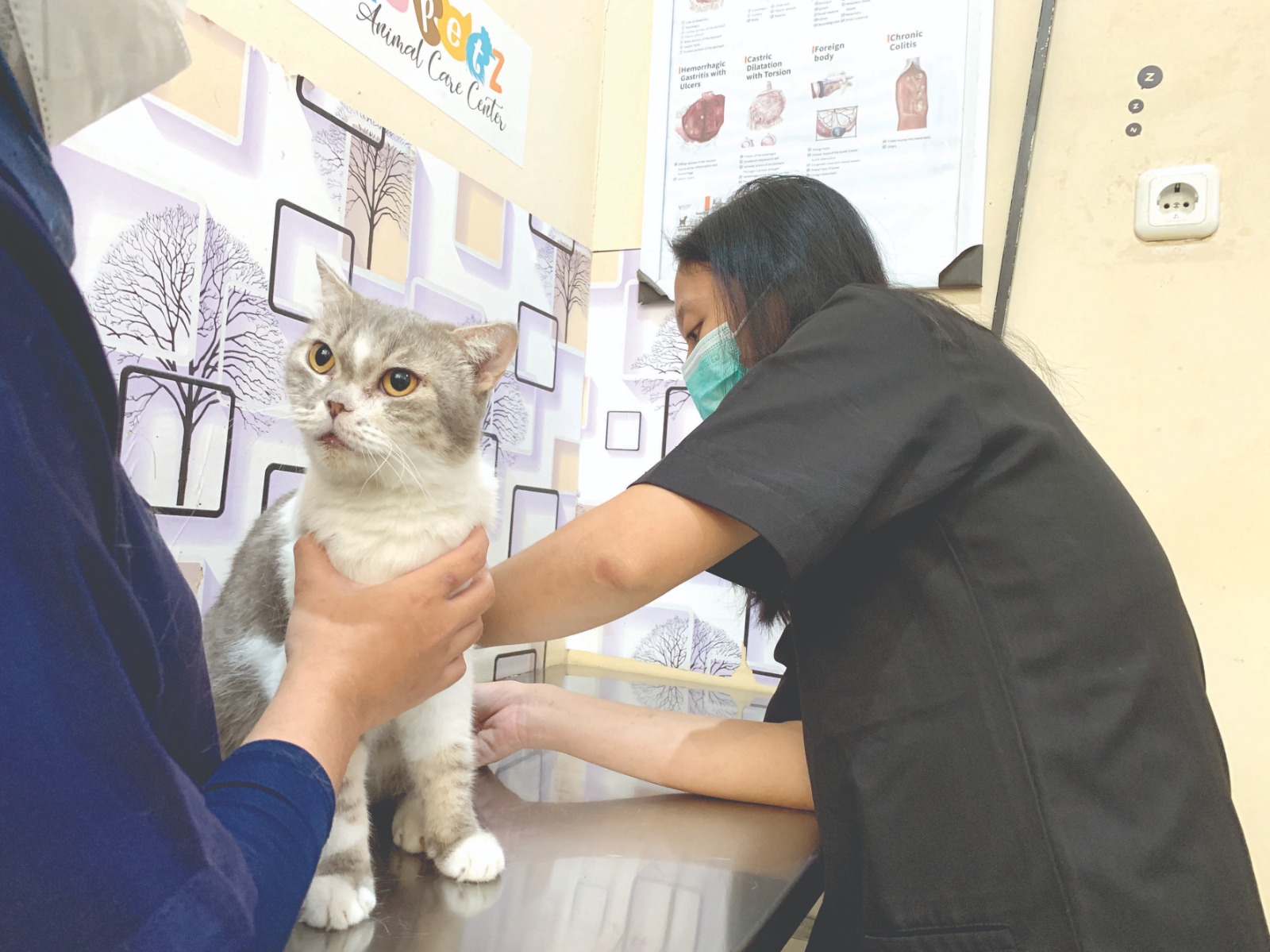 Sudah Puluhan Warga Daftar Vaksinasi Rabies, DKPP Kota Blitar Sebut Didominasi Kucing-Anjing