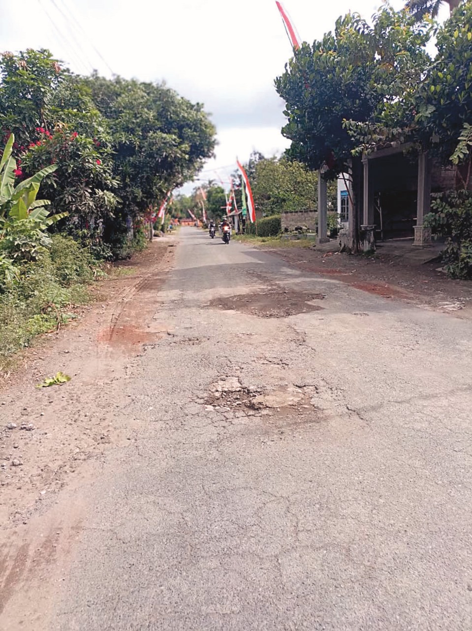 BUTUH PERHATIAN: Kondisi kerusakan jalan di Dusun Glagah, Desa Maliran, Kecamatan Ponggok, terjadi di beberapa titik.