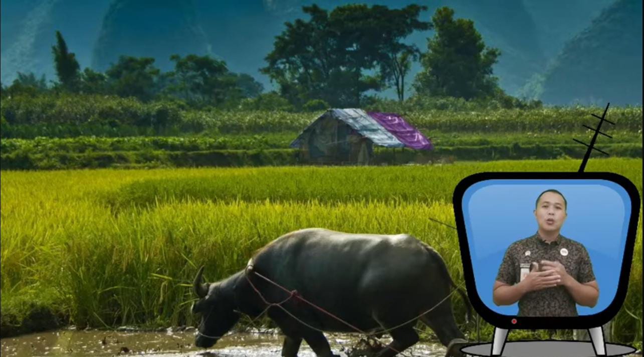 Tak Disangka, Tanah Bekas Tambang hingga Tanah Timbul Bisa Dibagikan Lewat Reforma Agraria