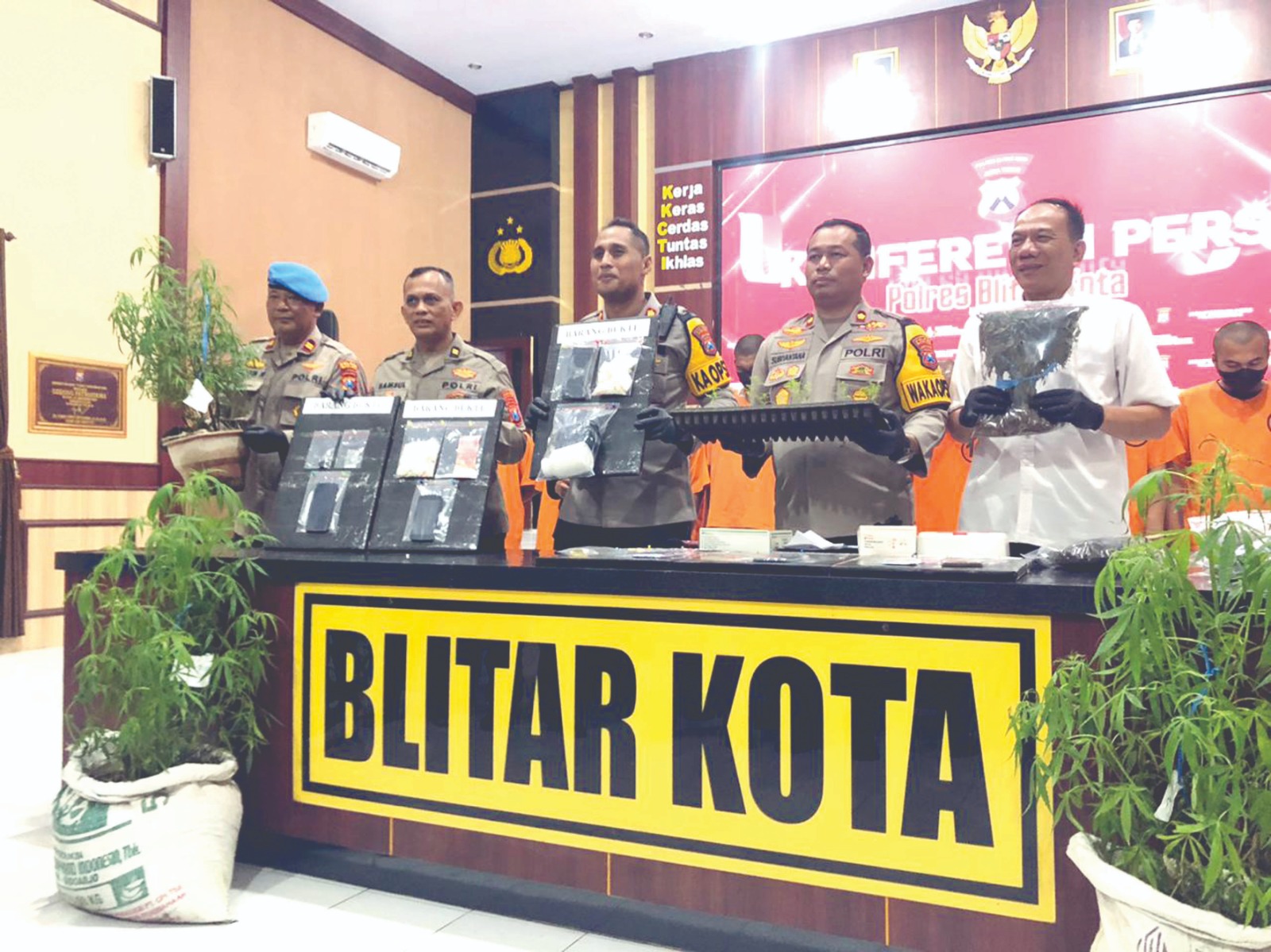 Polisi Ungkap Modus Penjualan Budi Daya Ganja Warga Blitar, Kapolres: Dijual Batangan-Kiloan ke Malang