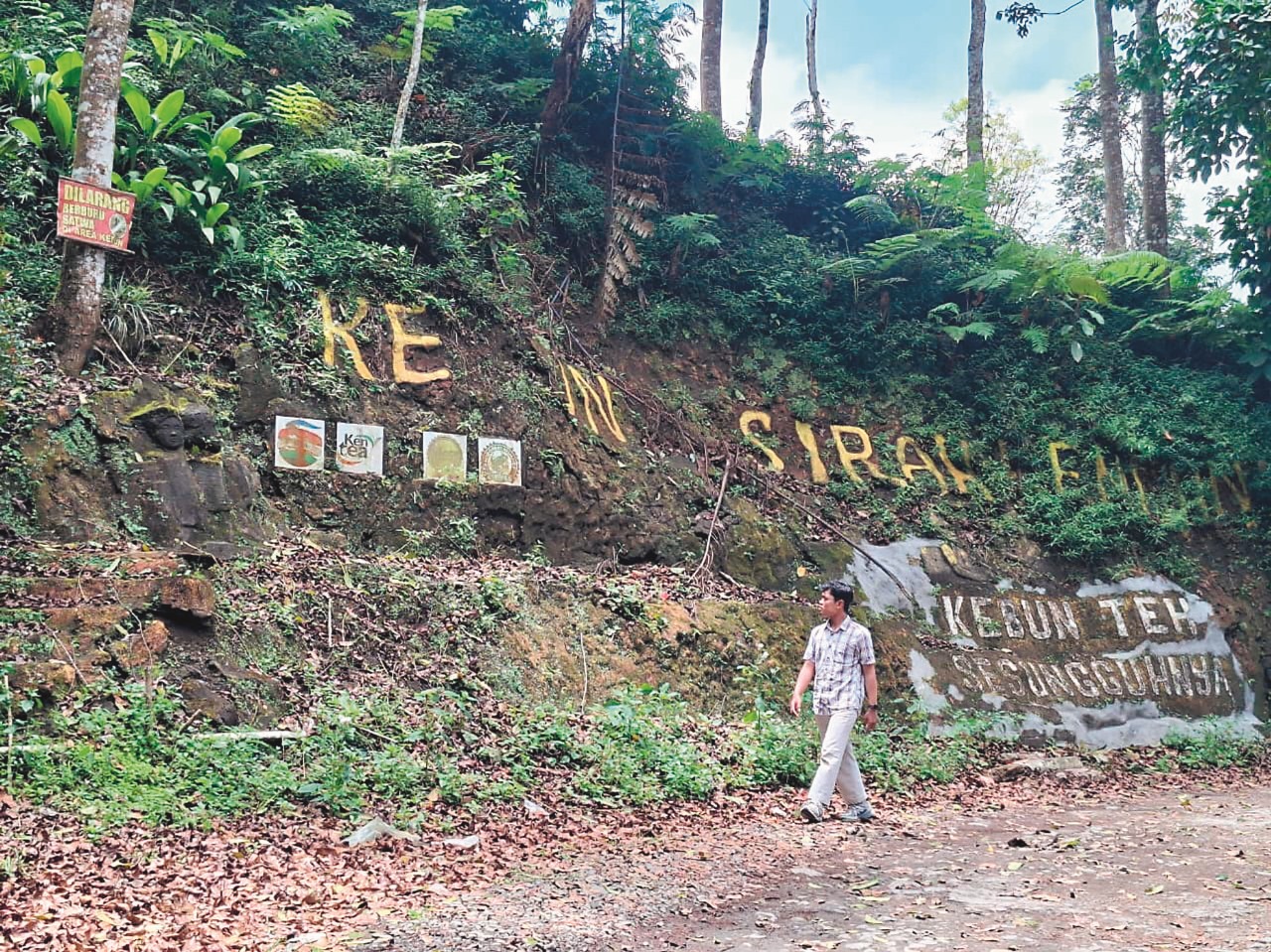 BUTUH SENTUHAN: Area pintu masuk kawasan perkebunan teh Sirah Kencong yang kurang terawat.