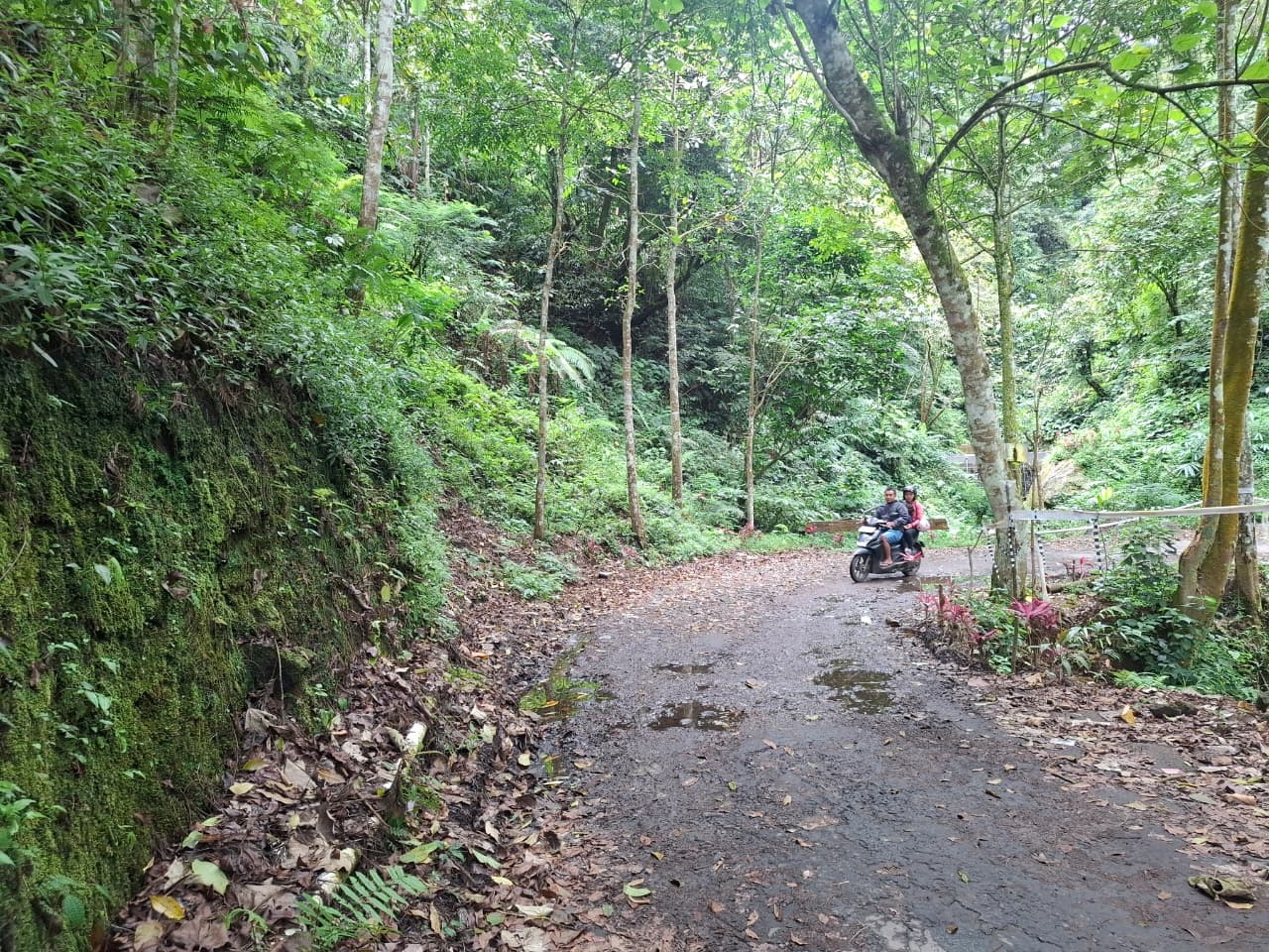MEMBAHAYAKAN: Kondisi kerusakan jalan yang menjadi akses utama ke Perkebunan Teh Sirah Kencong.