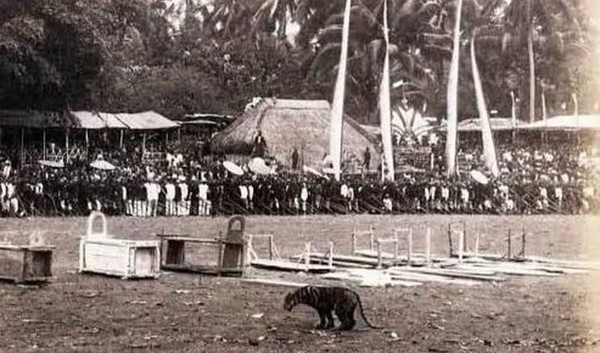 Tradisi Kediri yang Hilang, Dulu Pertarungan Manusia dan Harimau