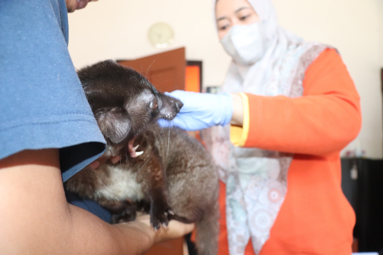 Antusiasime Masyarakat Blitar Manfaatkan Vaksinasi Rabies Gratis di Hari Rabies Sedunia
